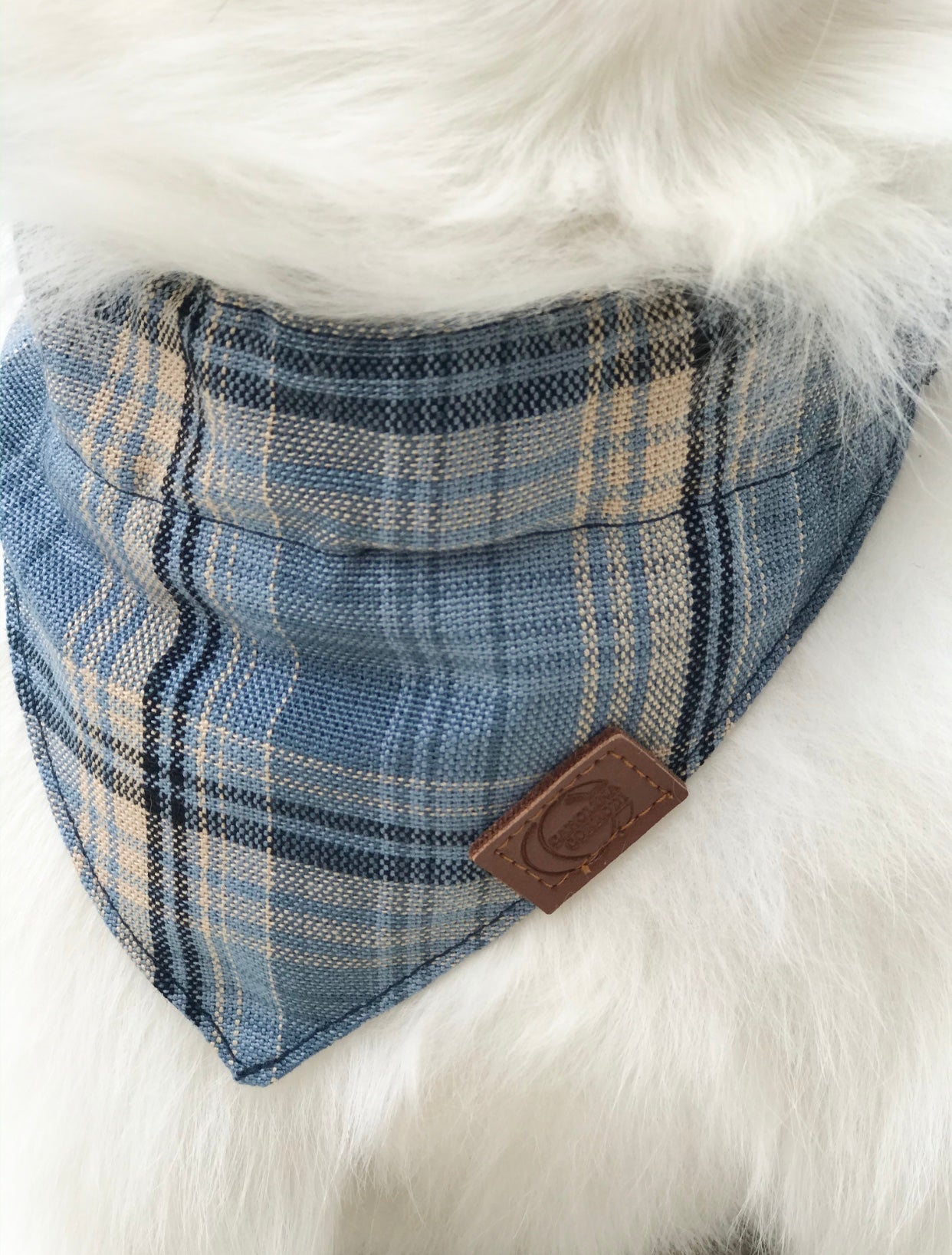 Bandana pour chien Manchester