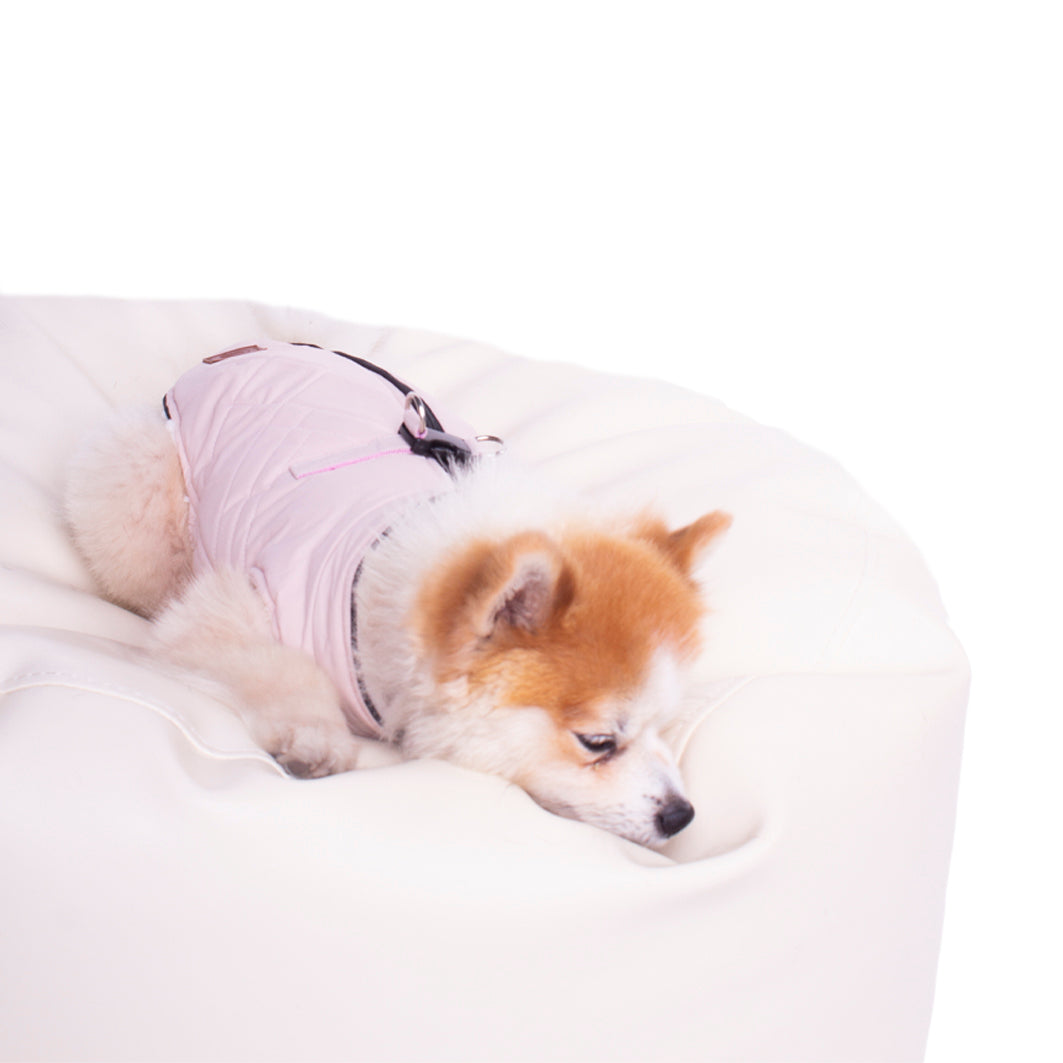 Manitoba Dog Coat