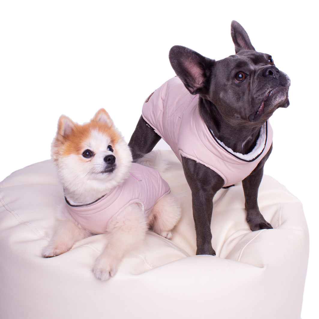 Manitoba Dog Coat