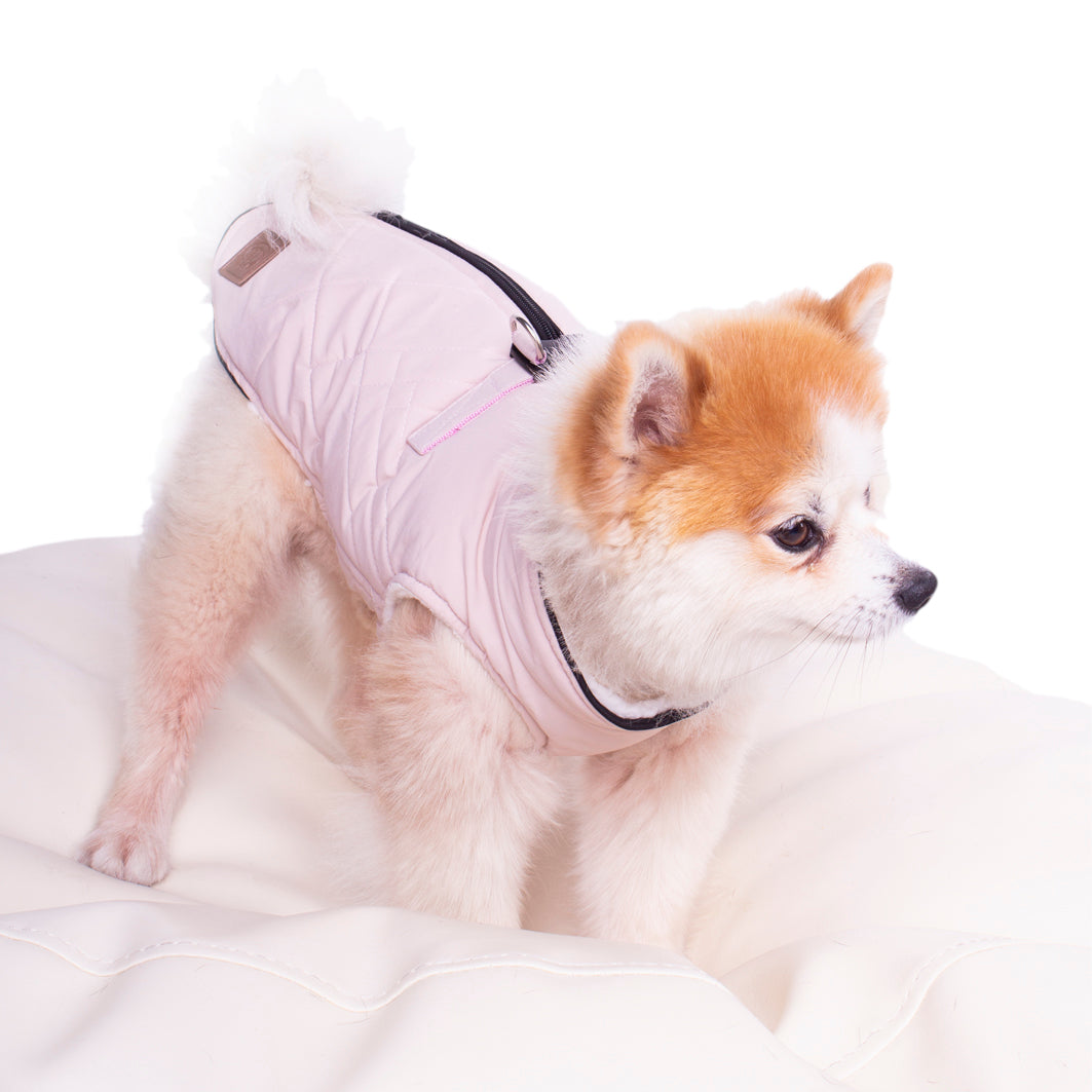 Manitoba Dog Coat