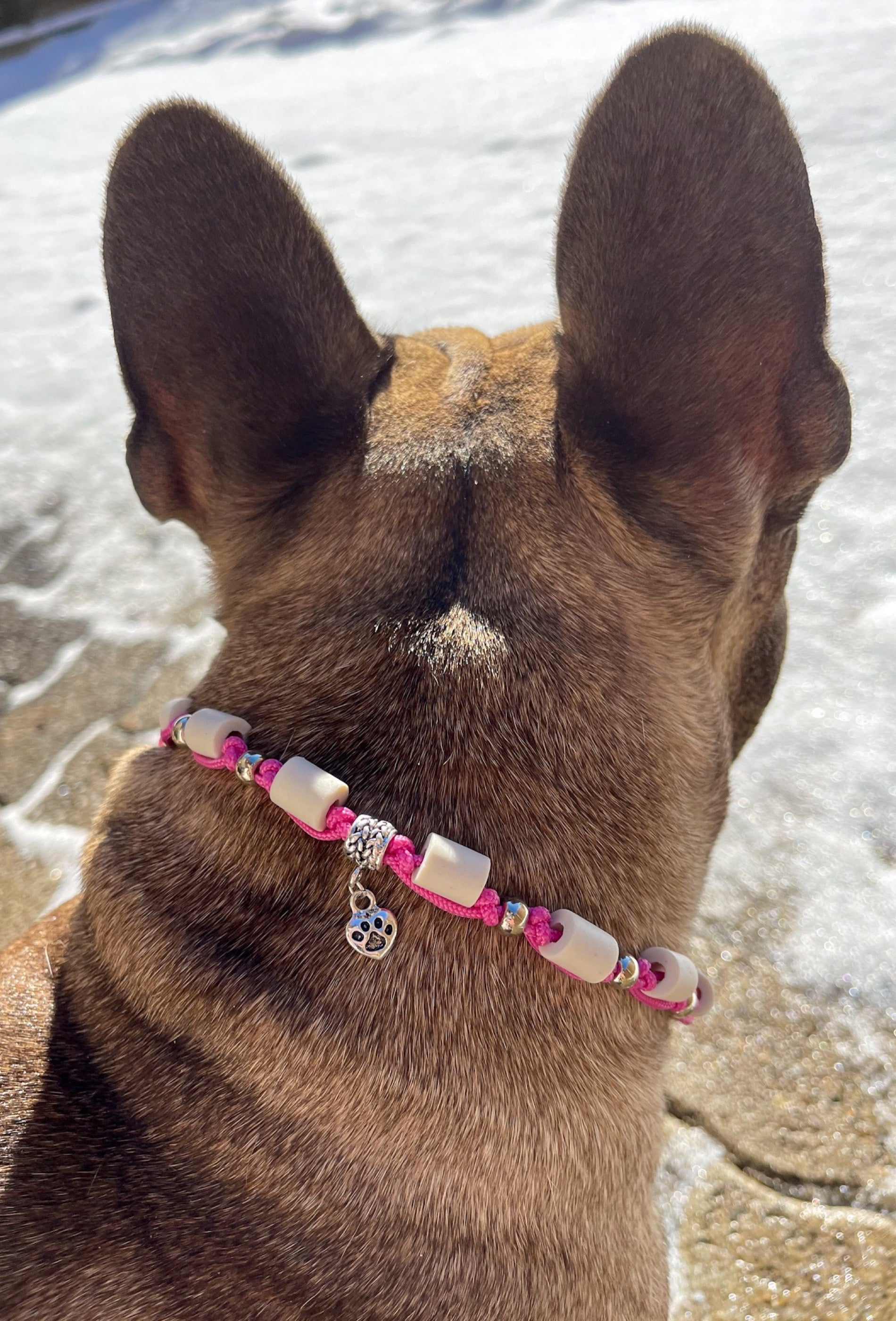 EM-Zeckenhalsband (pink)
