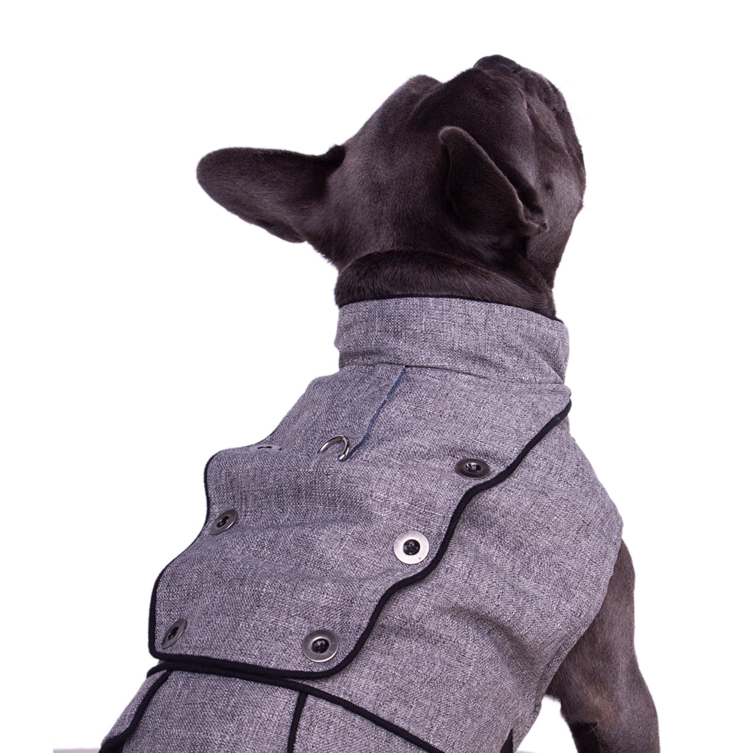 Montreal Dog Coat