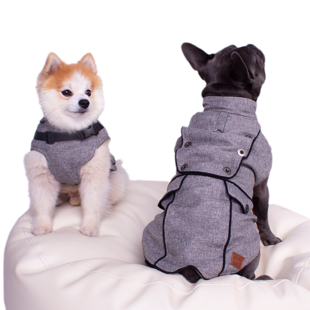 Montreal Dog Coat