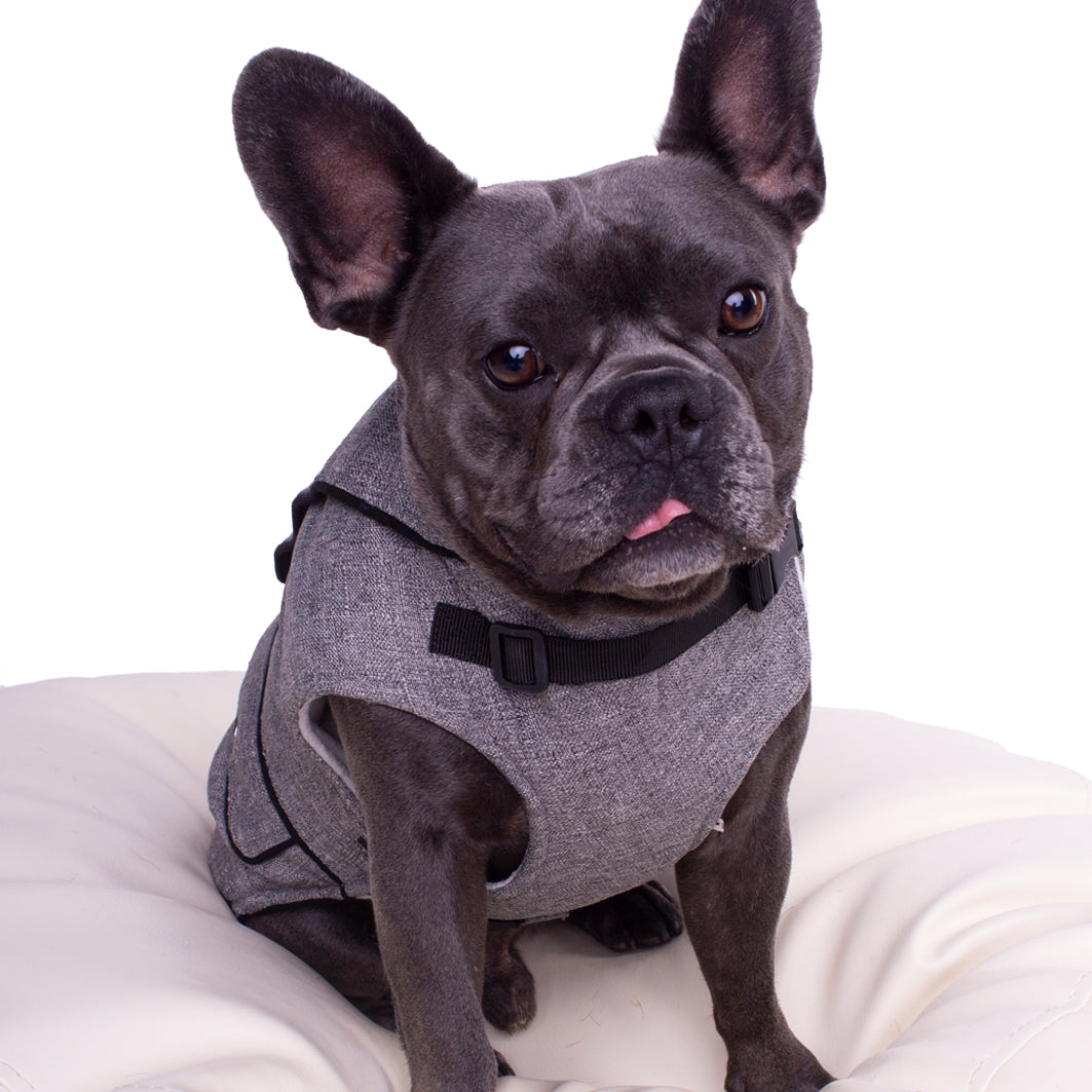 Montreal Dog Coat