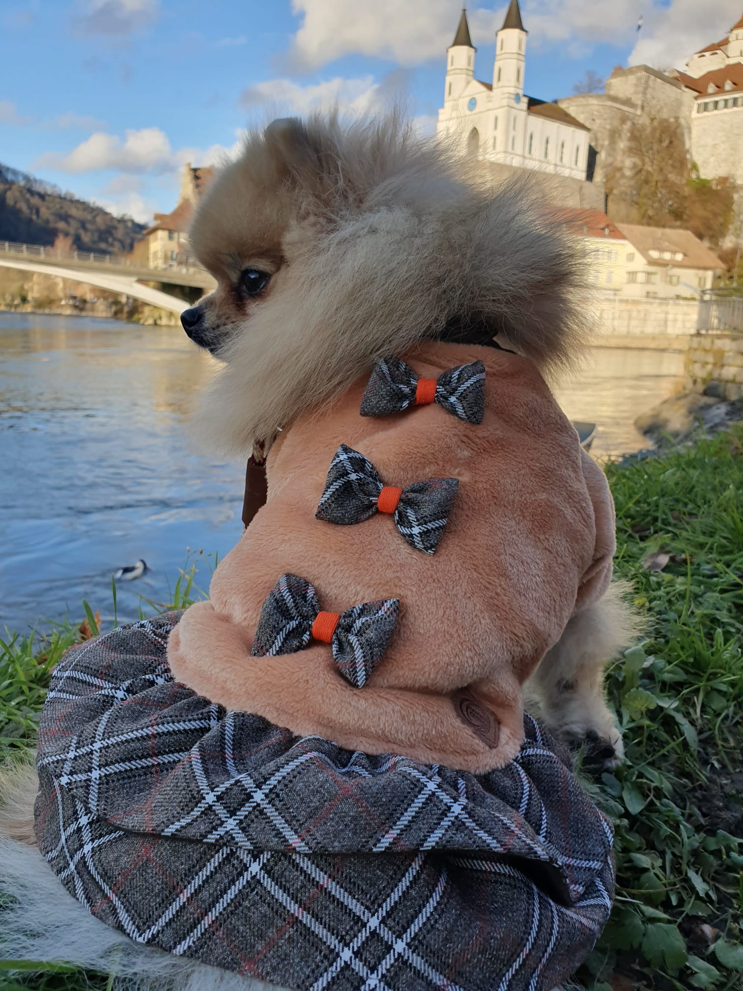 Hundepullover - Hundekleid Oslo