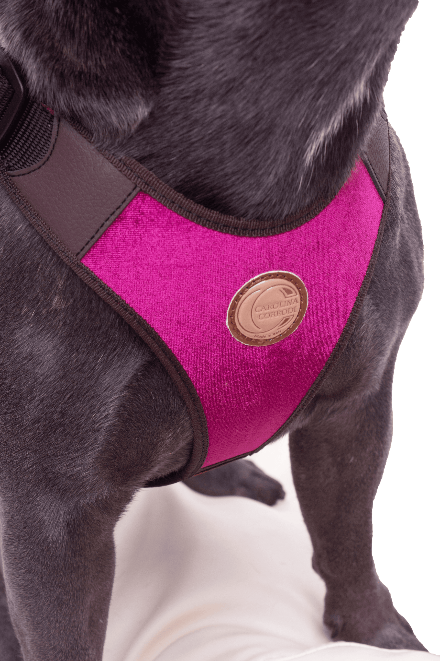 hundegeschirr mit samt