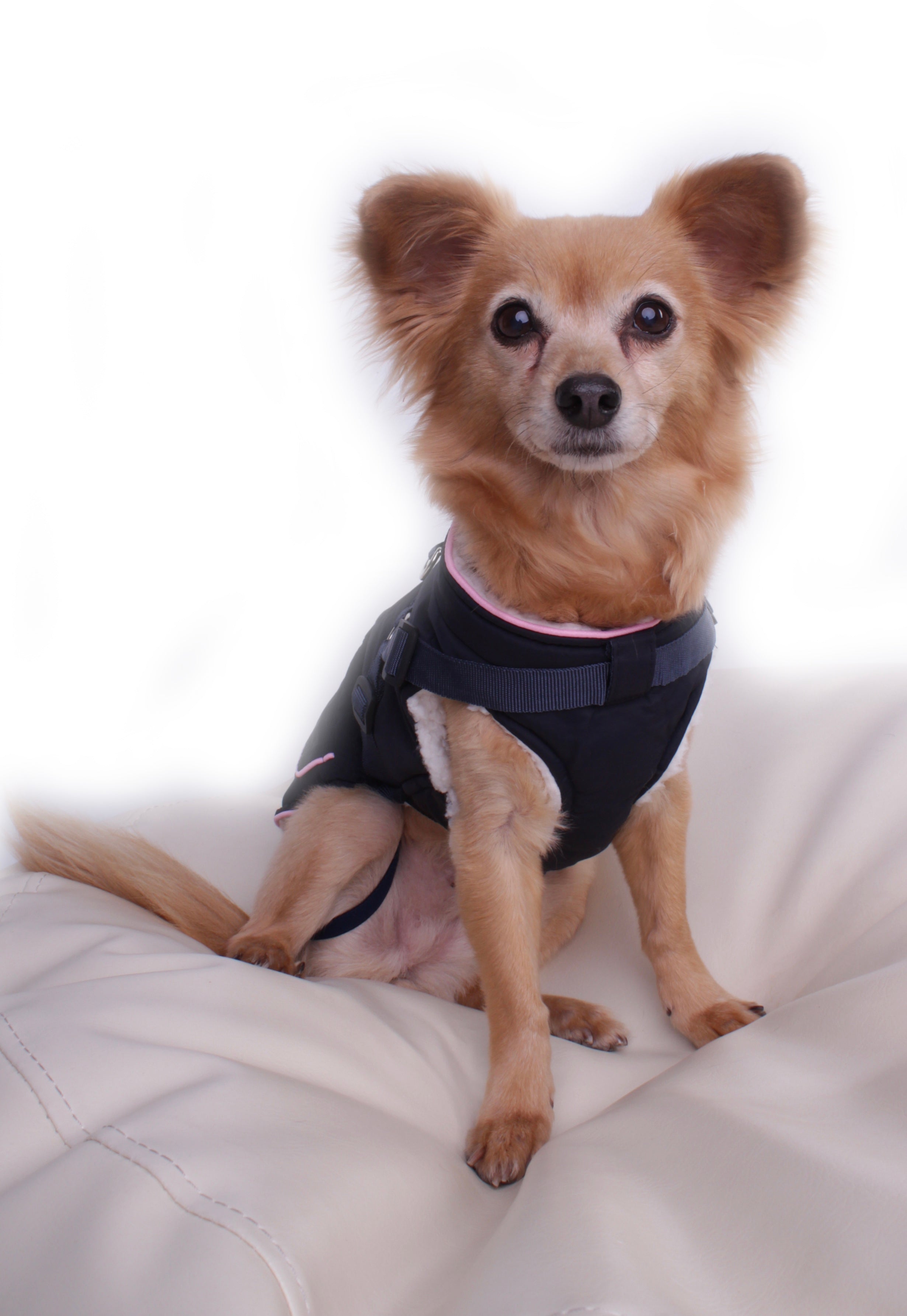 Hundemantel Regina