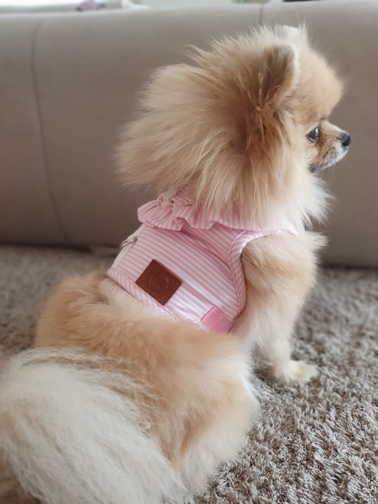 Hundegeschirr soft