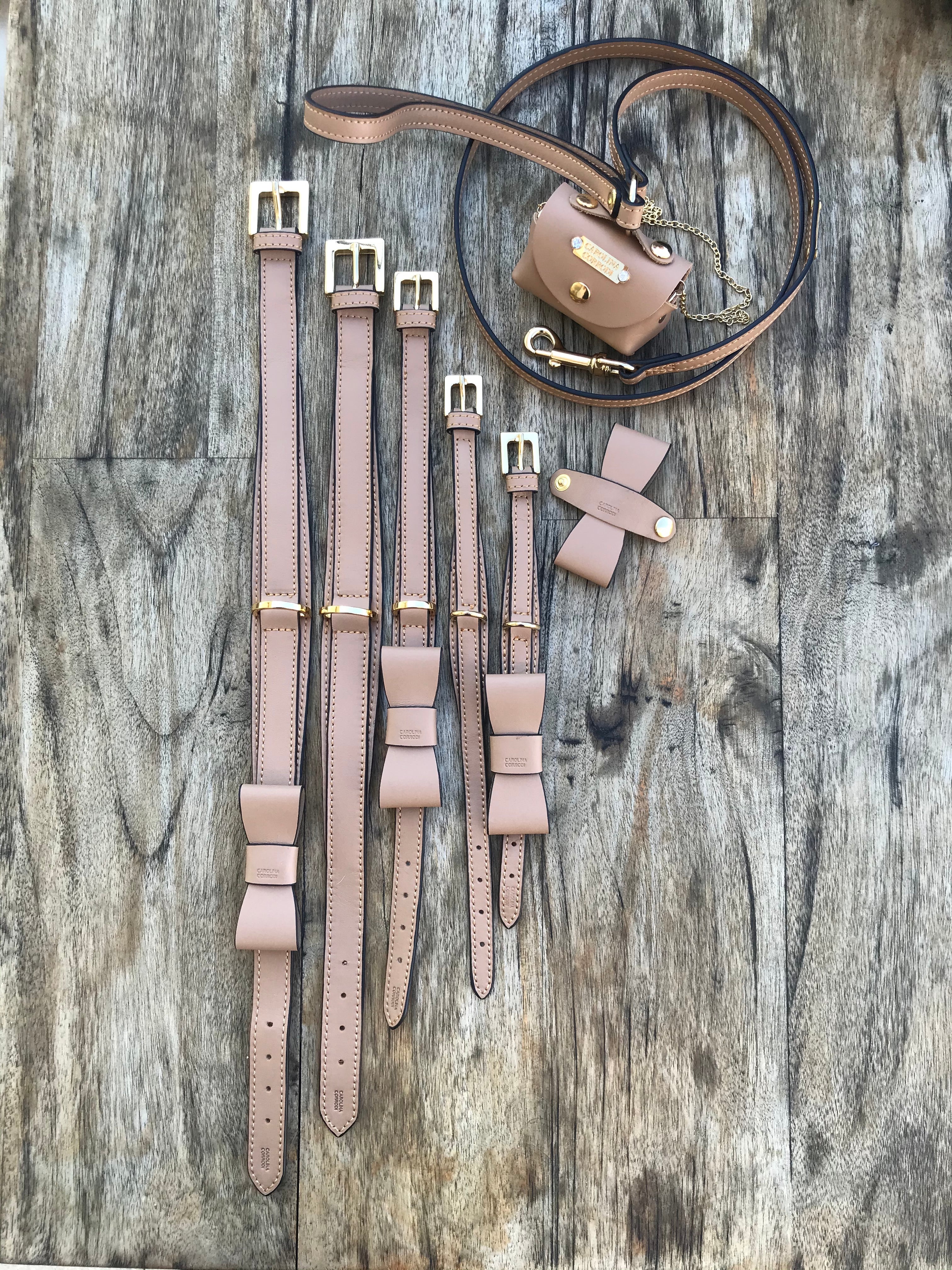 Collier pour chien cuir Édition Or Venice