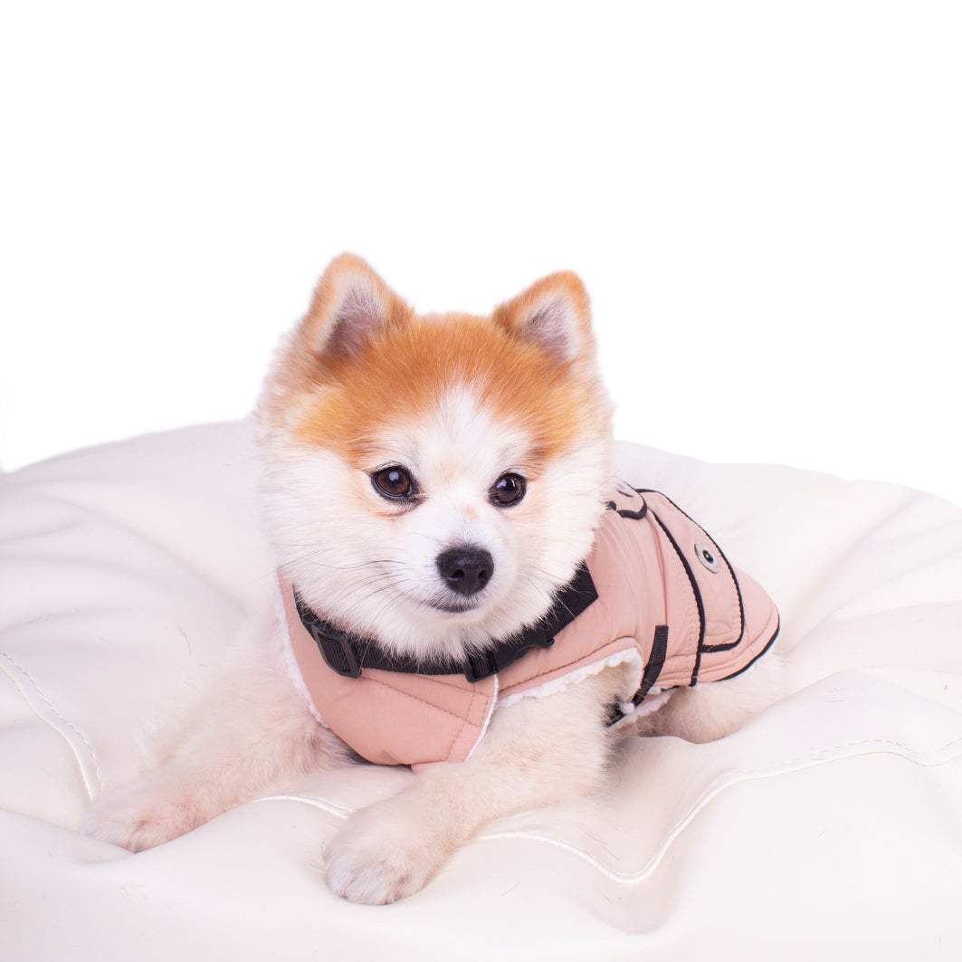 Manteau pour chien Windsor