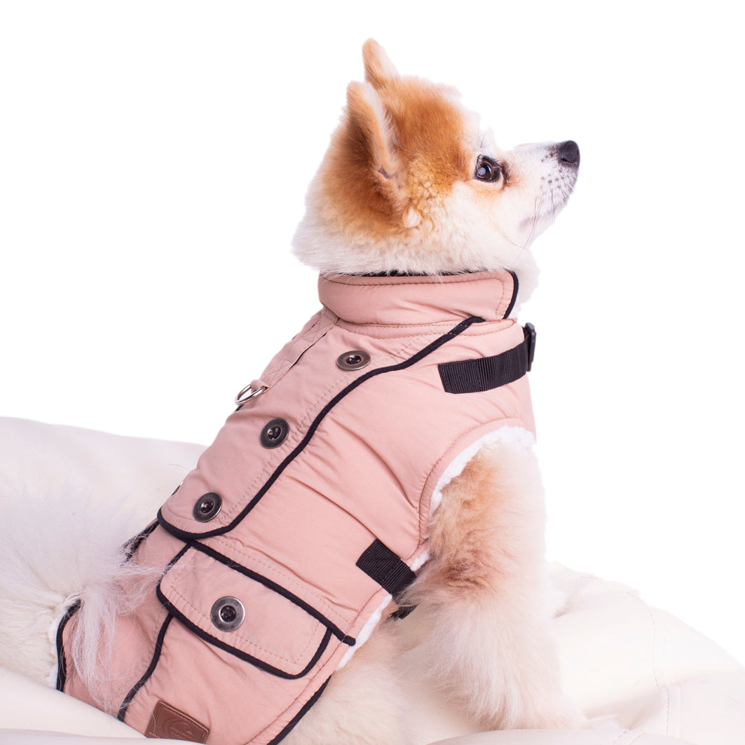 Manteau pour chien Windsor