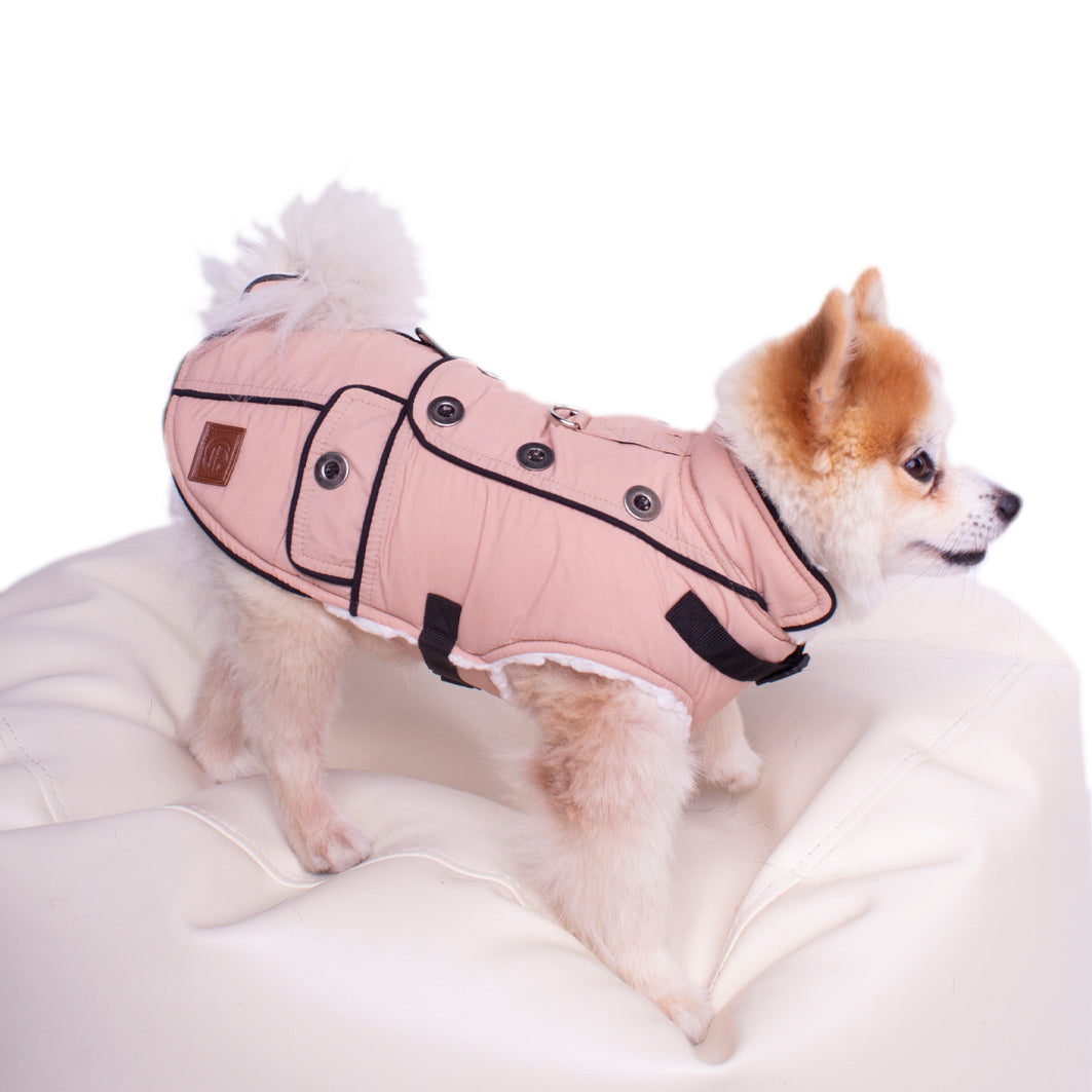 Manteau pour chien Windsor