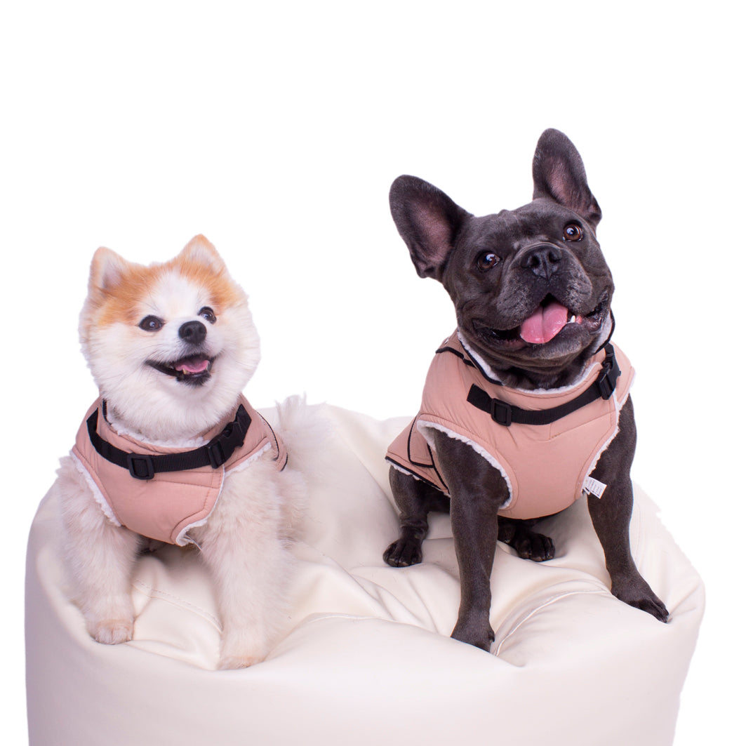 Manteau pour chien Windsor