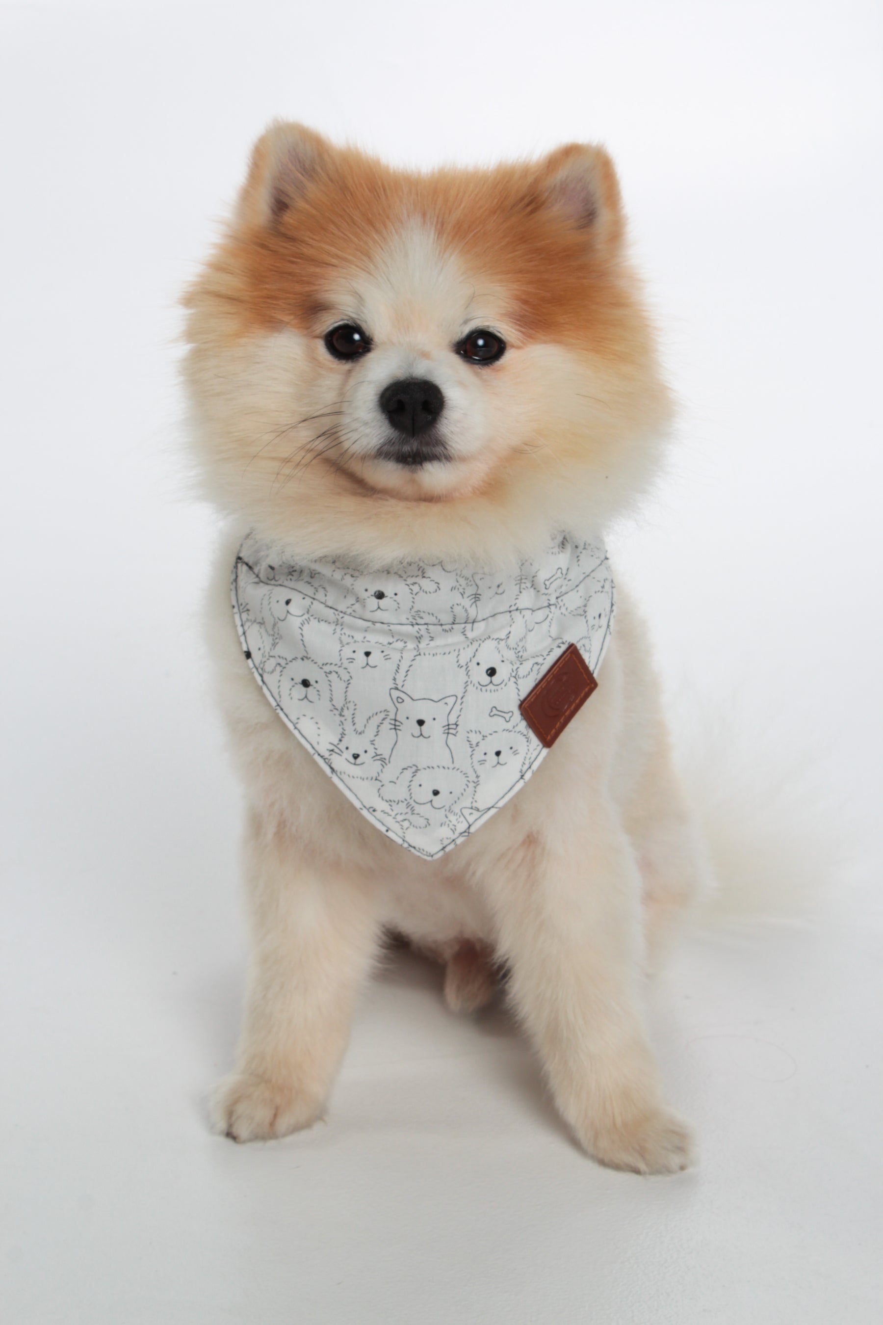 Bandana pour chien Alaska