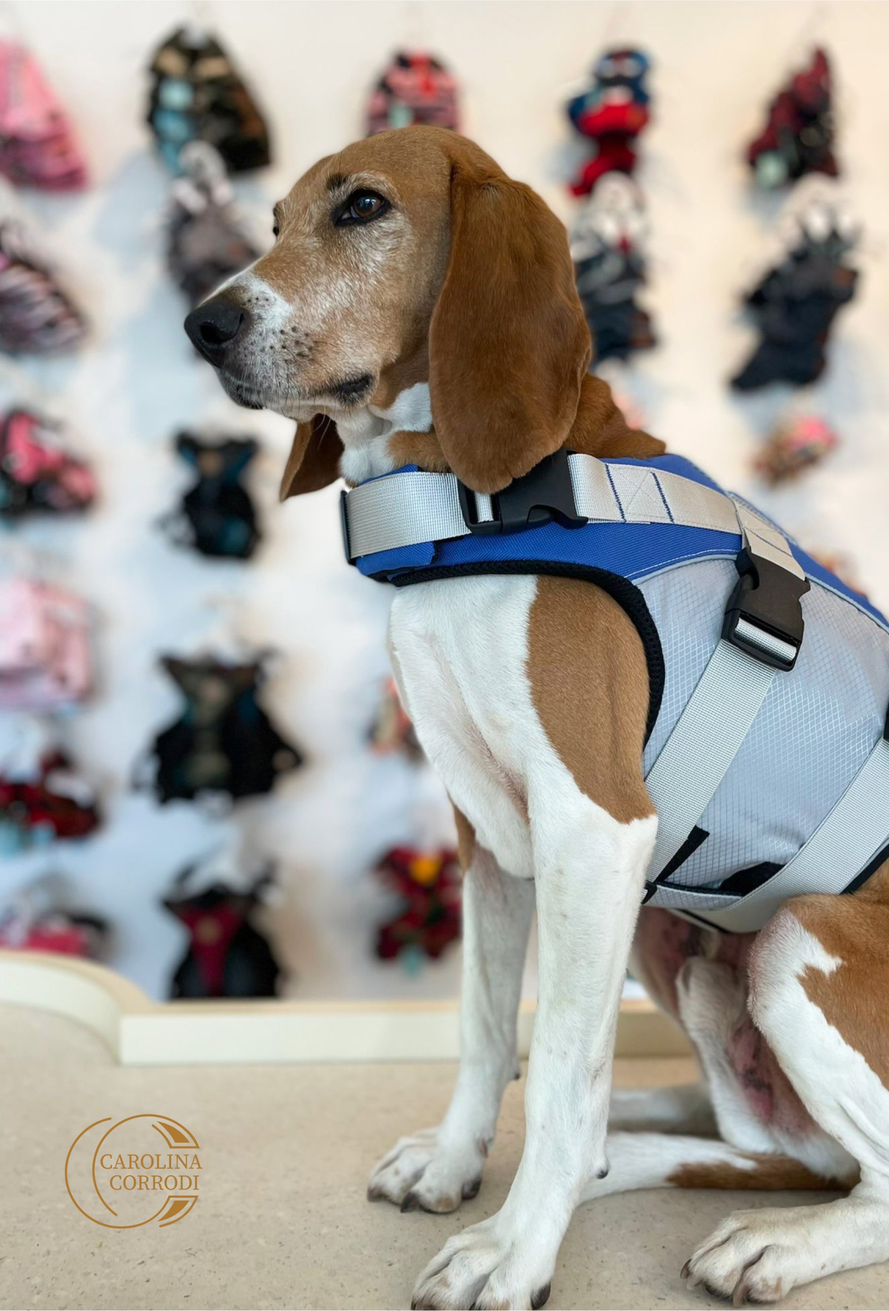Dog life jacket / float coat
