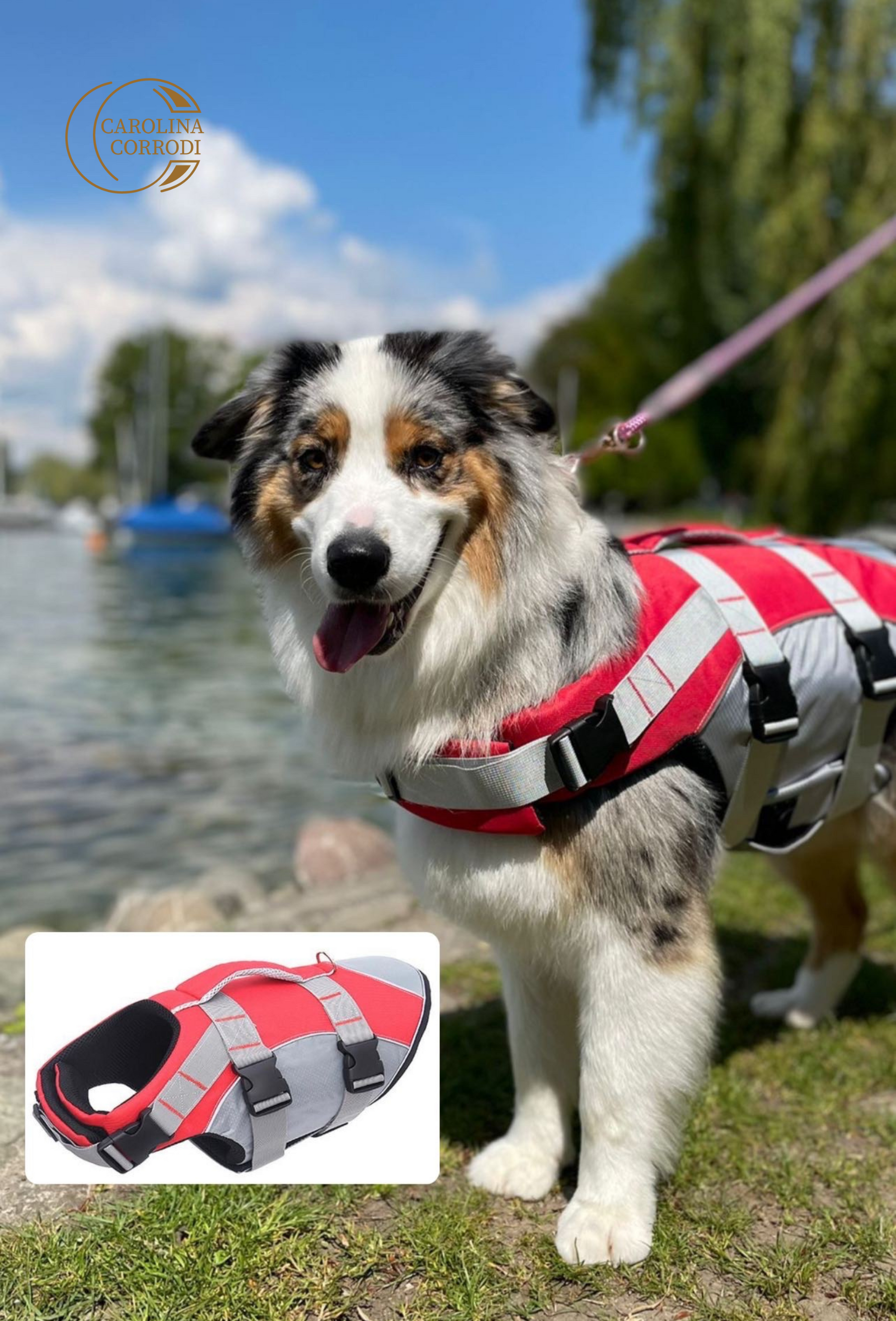 Dog life jacket / float coat