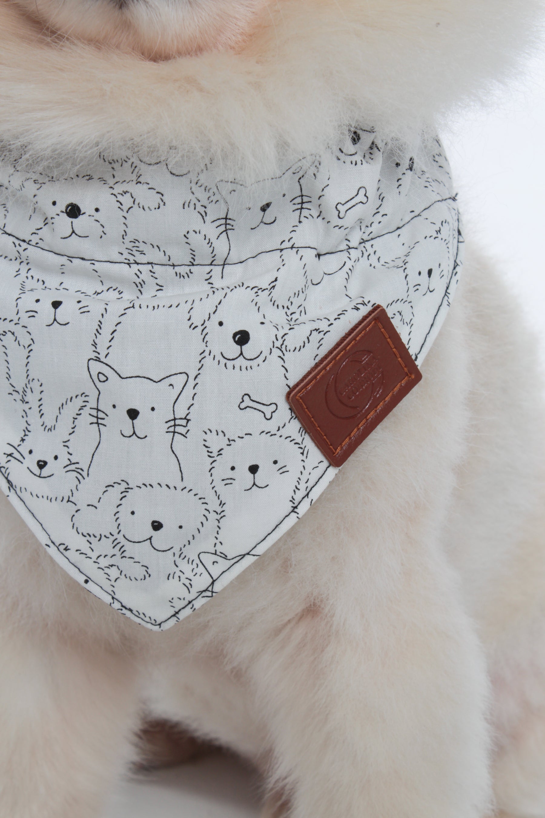 Bandana pour chien Alaska