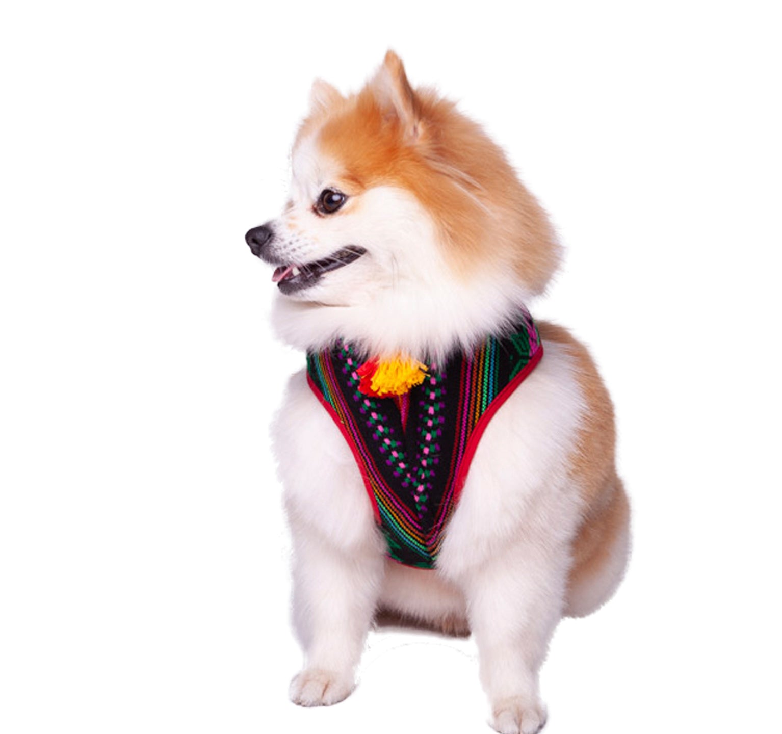 Hundegeschirr
