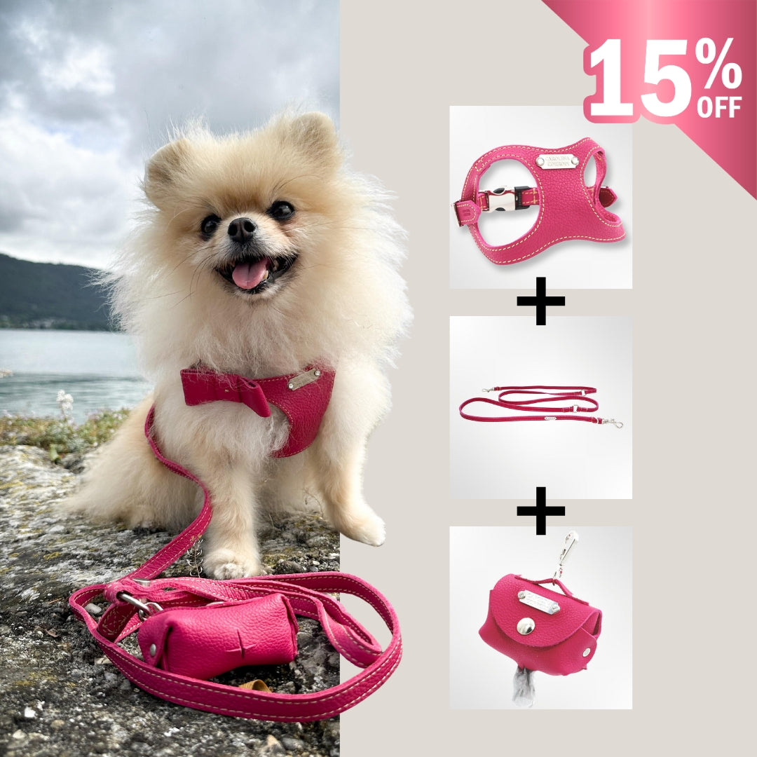 Ledergeschirr-Set-Pom mit fuchsia Ledercombo, Freisteller Hundegeschirr,Lederleine, Kotbeutelspender 15%off