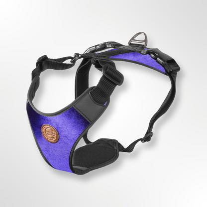 Dog harness with matching leash