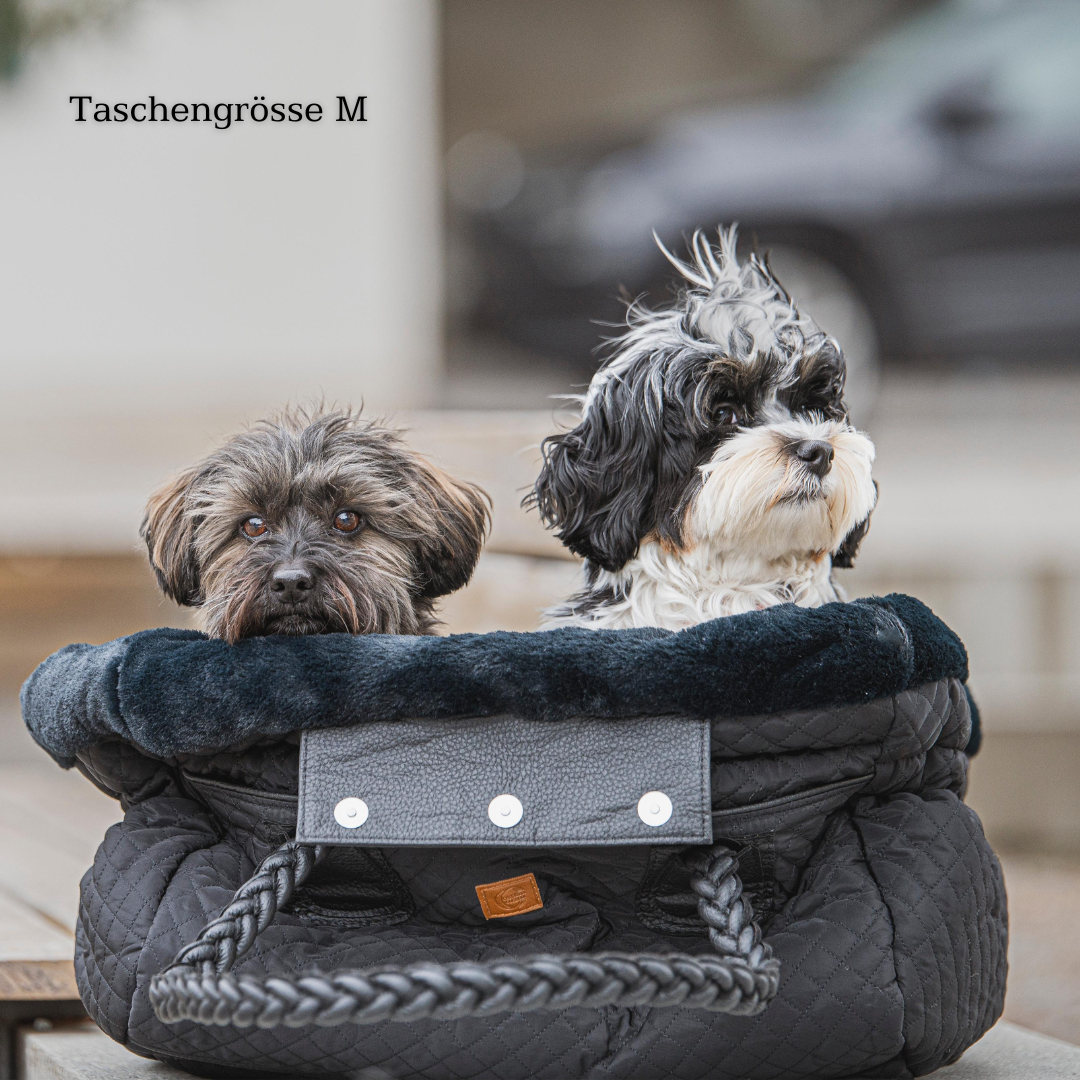 welpe und havaneser sitzen in hundetasche hundebett