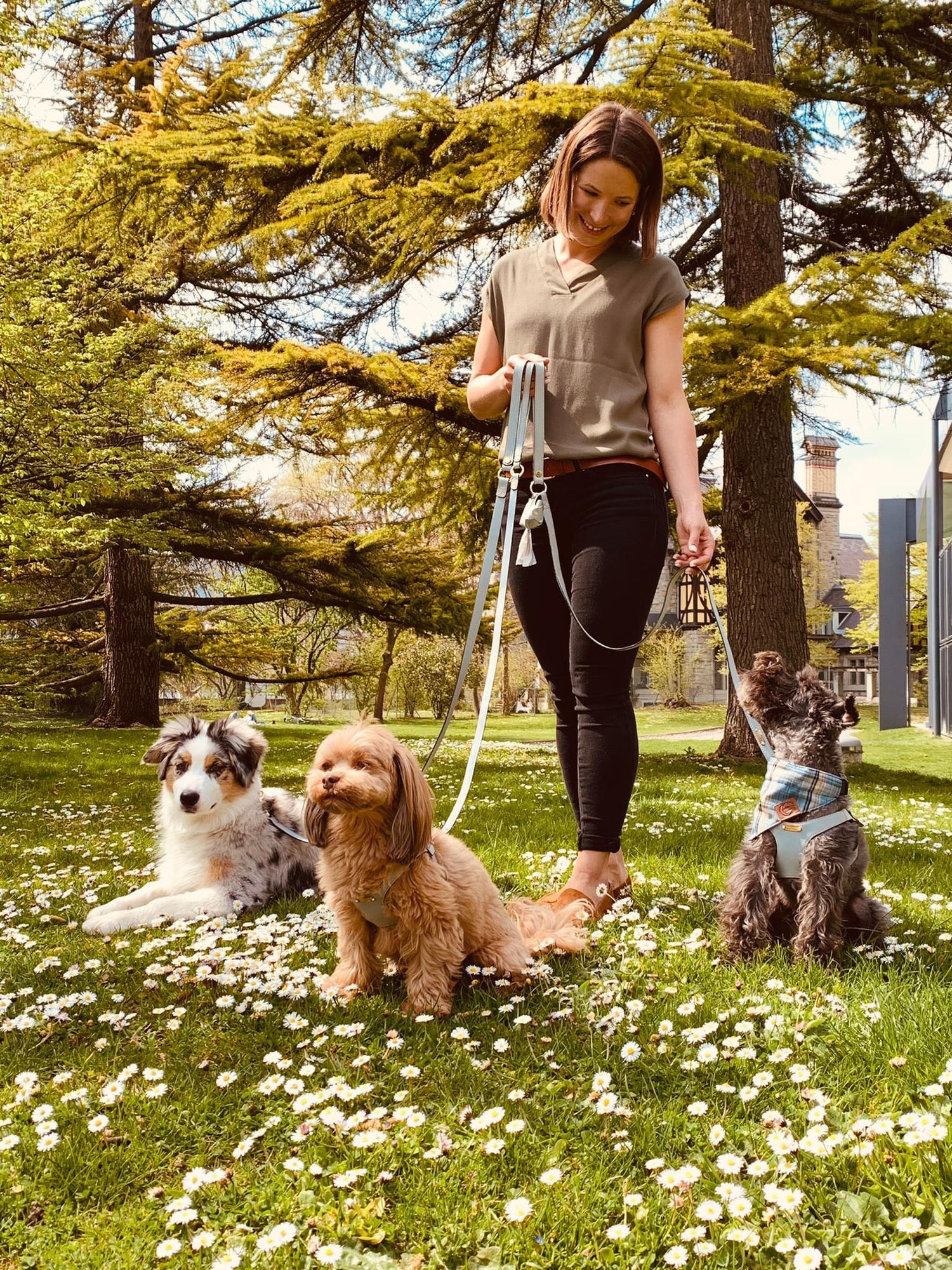 Frau mit 3 Hunden mit Hundebandanas an Lederleinen