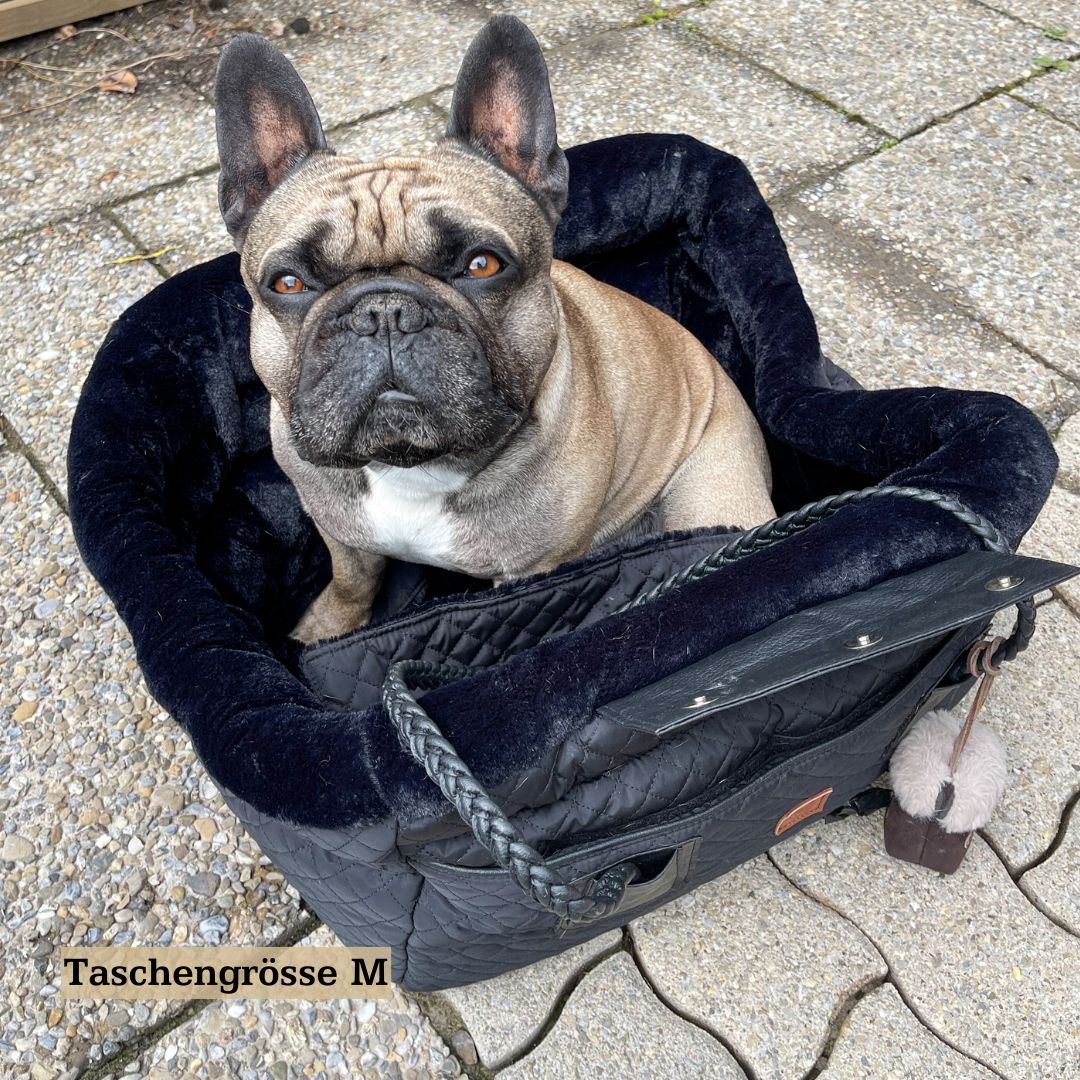 Französische Bulldogge in Hundetasche 2in1 Grösse M