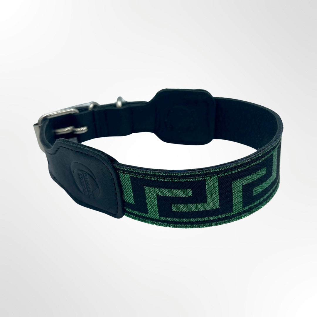 Schwarzes Leder-Hundehalsband mit grünem Details