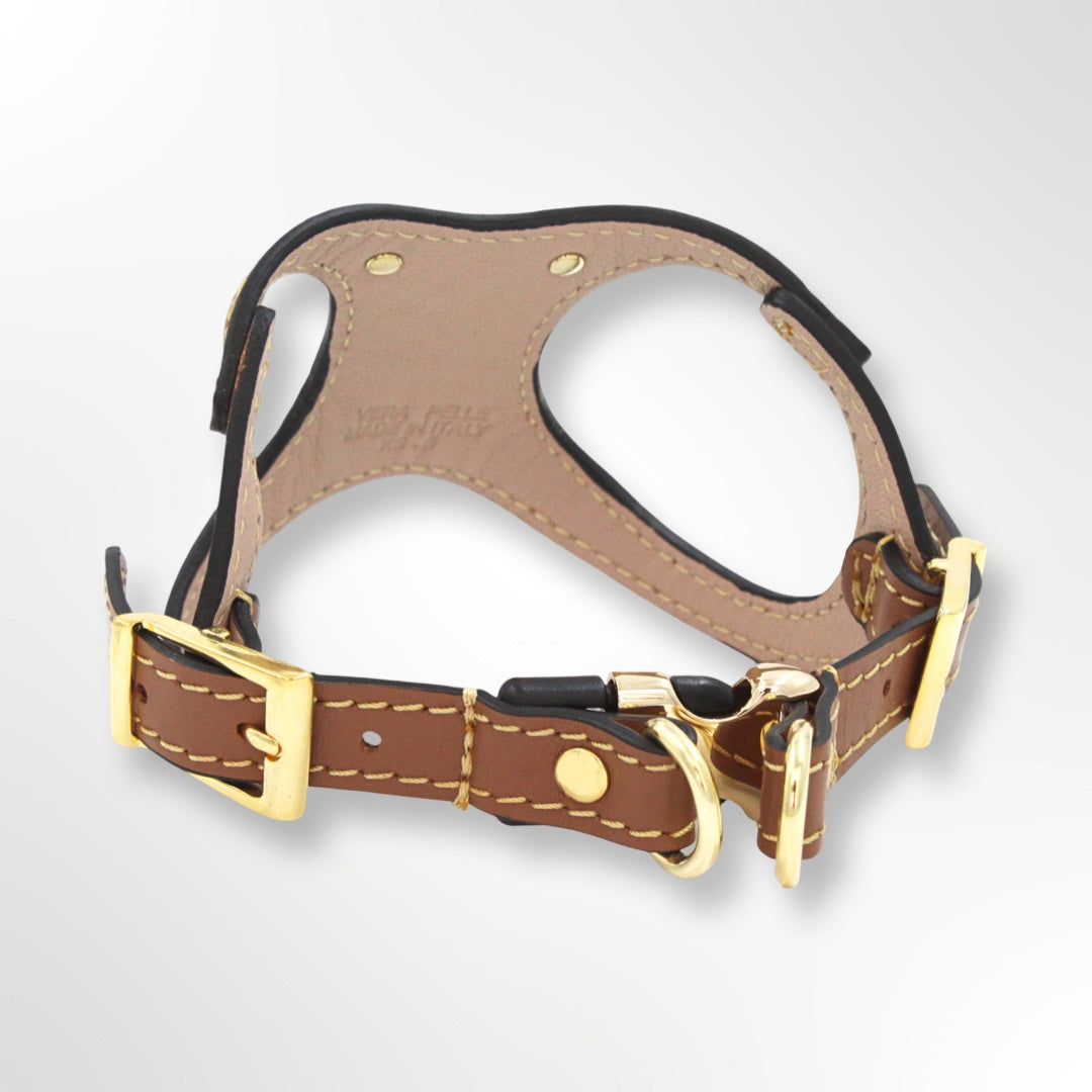Hundegeschirr Leder Braun mit Goldenen Details