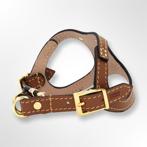 Hundegeschirr Leder braun mit Gold Accessoires Ansicht Verstellbarkeit