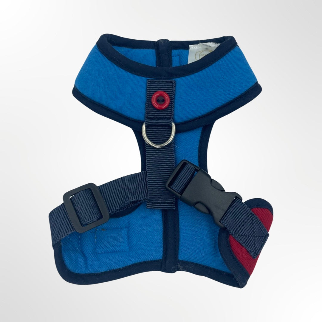 Hundegeschirr blau mit rotem Knopf, Rückenansicht