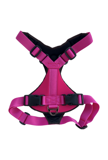 Dog harness ♻️ ECO 100% recycled - The GAIA Collection - Bora Bora♻️