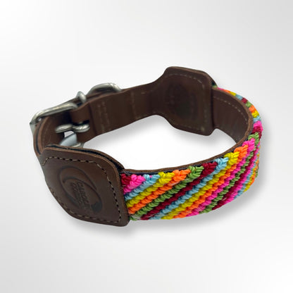 Hundehalsband aus Leder mit geknpüftem Detail in Regenbogenfarben