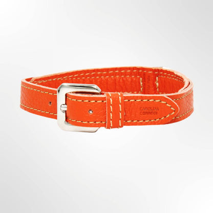 Dog Collar Leather Silver Edition orange