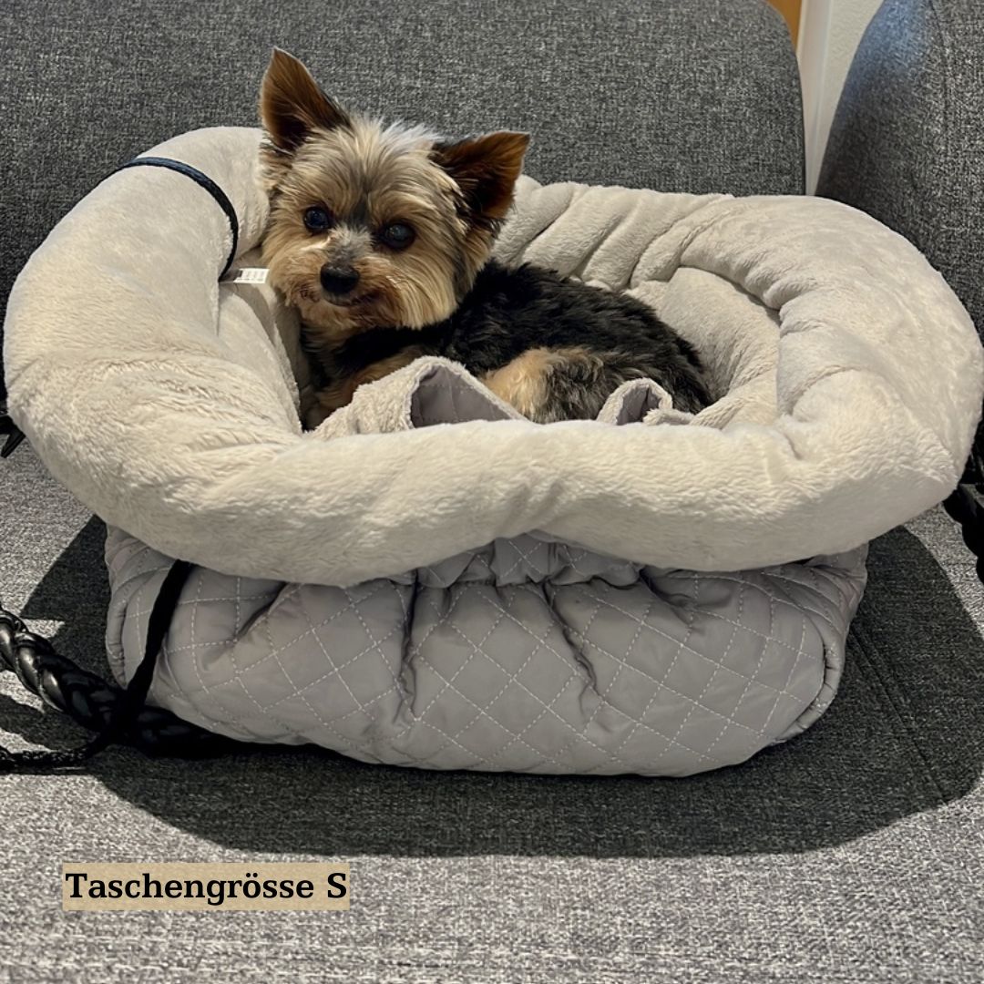 Yorkie in Hundetasche 2in1 Grösse S