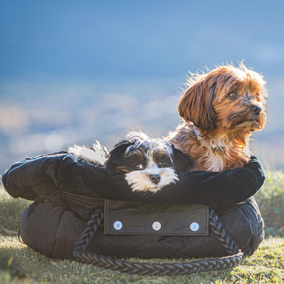 welpe liegt in der hundetasche