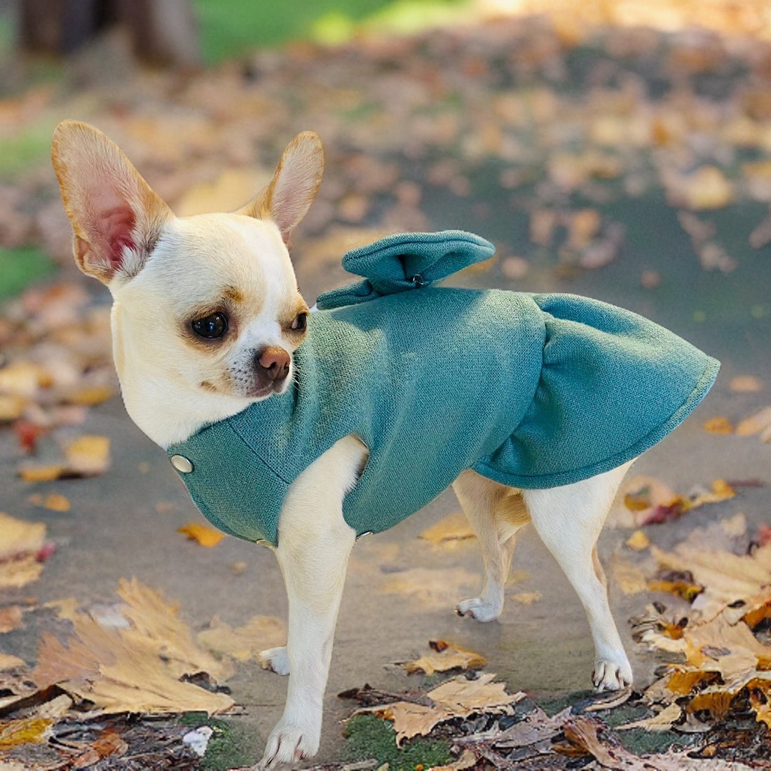 Dog sweater - dress Paris