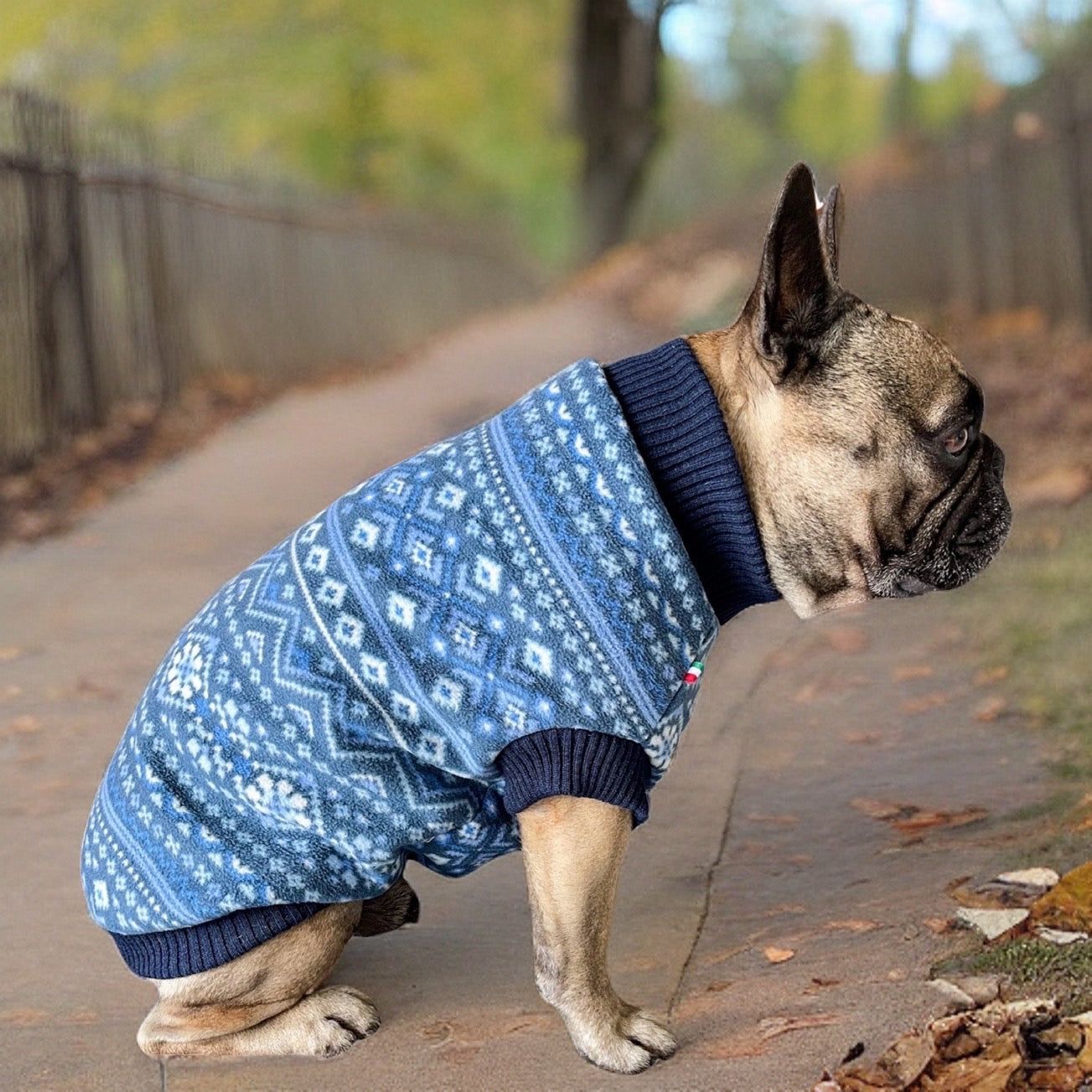 Milan Polo Dog Sweater