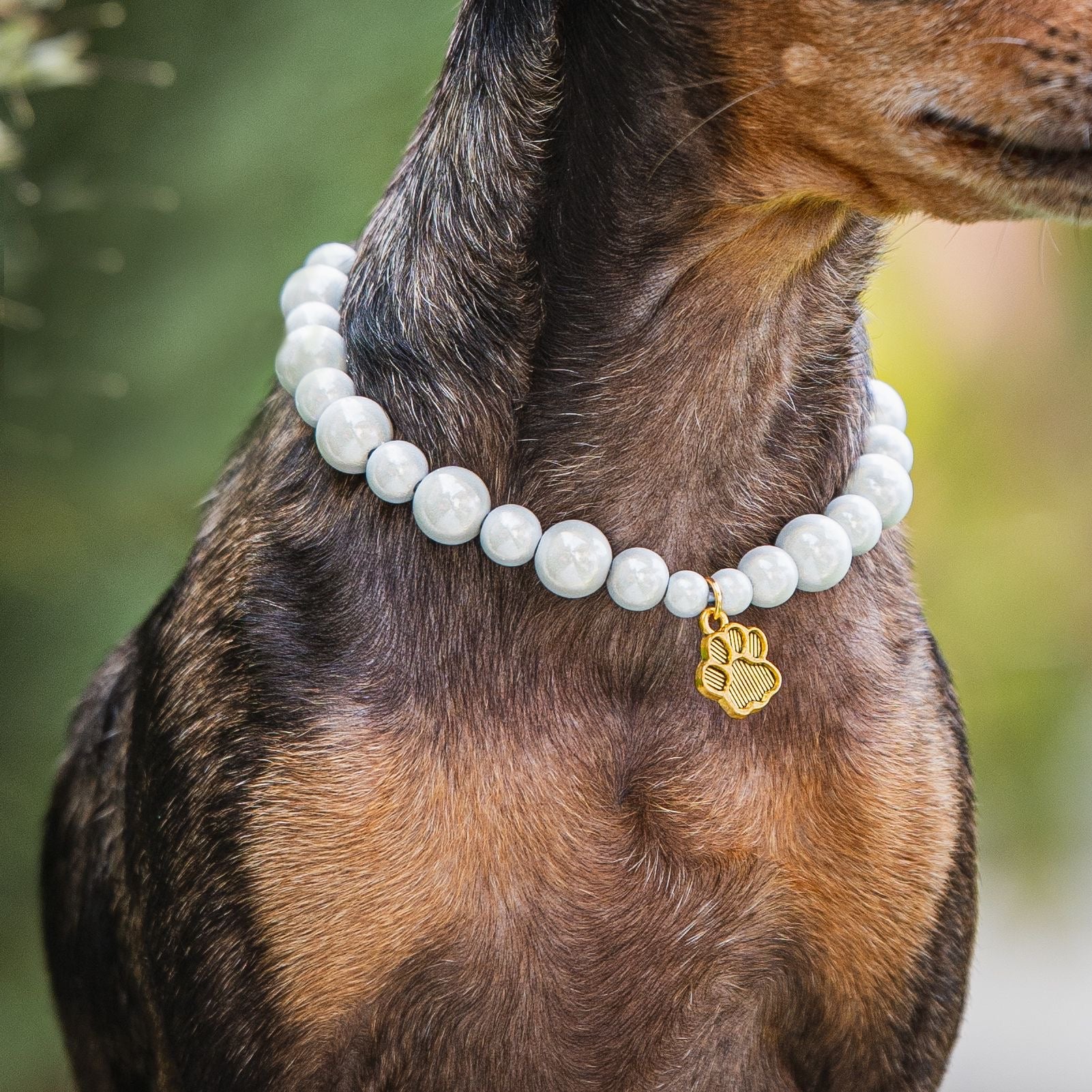 Nahaufnahme von der weissenn Kette mit goldenem Pfotenanhänger