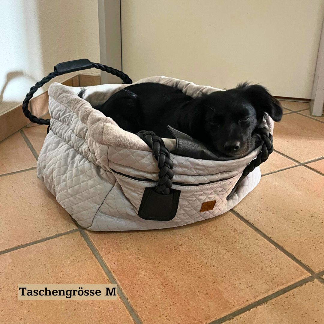 Mischlingshündin in Hundetasche 2in1 Grösse M