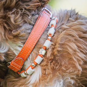 Nahaufnahme Zeckenband orange mit passendem Lederhalsband orange
