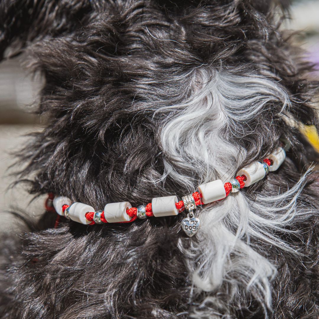 Nahaufnahme EM-Zeckenhalsband rot
