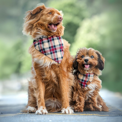 hunde tragen hundebandana in karomuster