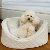 pudel sitzt in beigen luxus hundebett