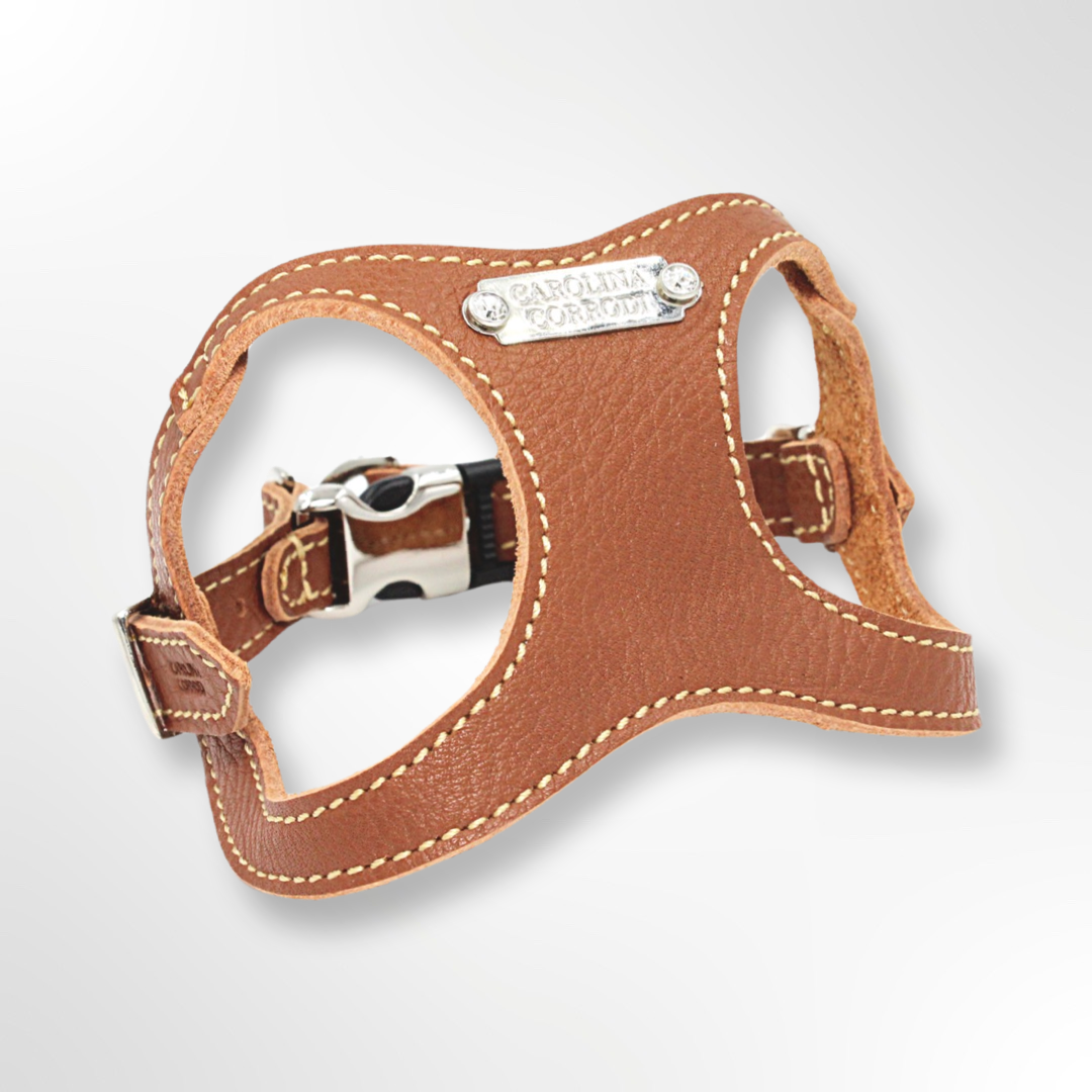 Leather step 2024 in dog harness