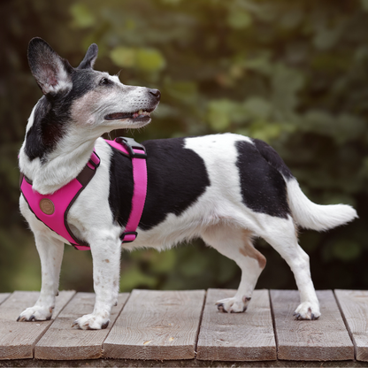 hundegeschirr verstellbar in rosa