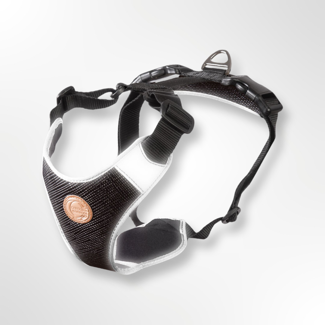 Akc top dog harness
