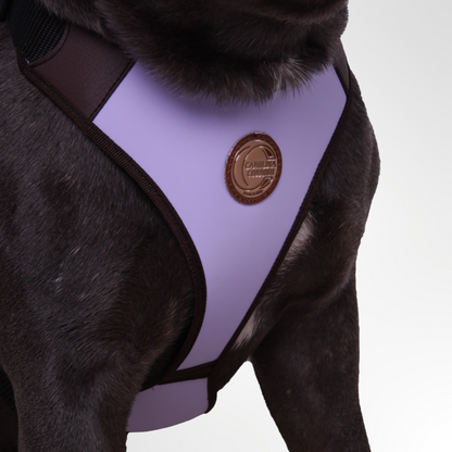 Dog harness Lismore