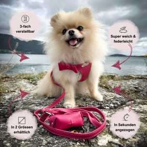 Pomeranian mit Fuchsia Step-In Geschirr mit 4 Vorteilen notiert