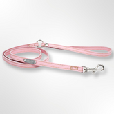 lederleine rosa carolina corrodi